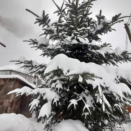 Zhelikhovskykh Apartmán Tatariv