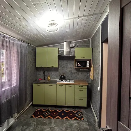 Zhelikhovskykh Apartment